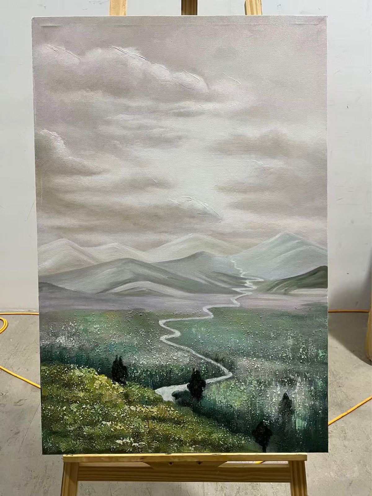 Valley under Grey Skies