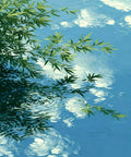 Willow leaves trailing over still water mirroring white clouds and ripples