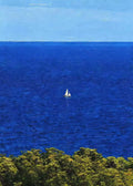 A single white sail on a vast cobalt sea above green treetops