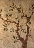A gnarled olive tree with silvery leaves spreading across a warm, speckled stone-textured ground