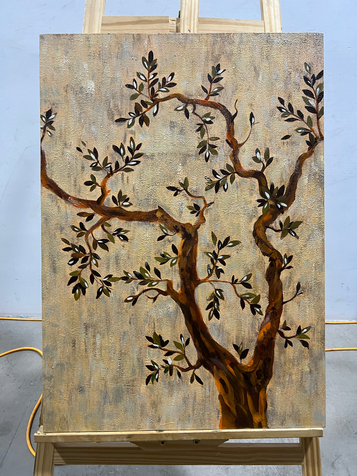 Olive Tree on Stone