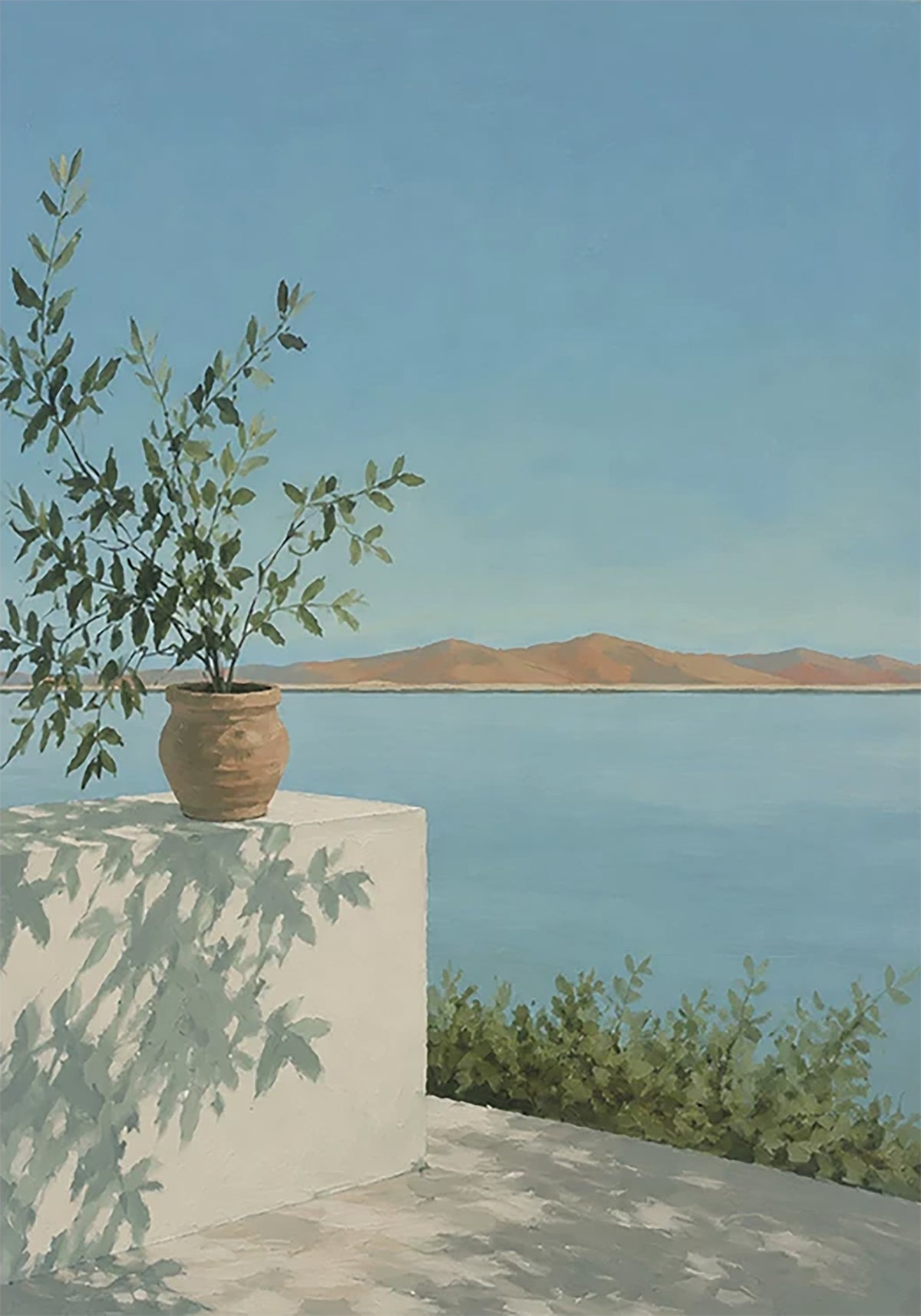 A potted olive sapling on a white wall casting soft shadows, a calm blue bay and island beyond