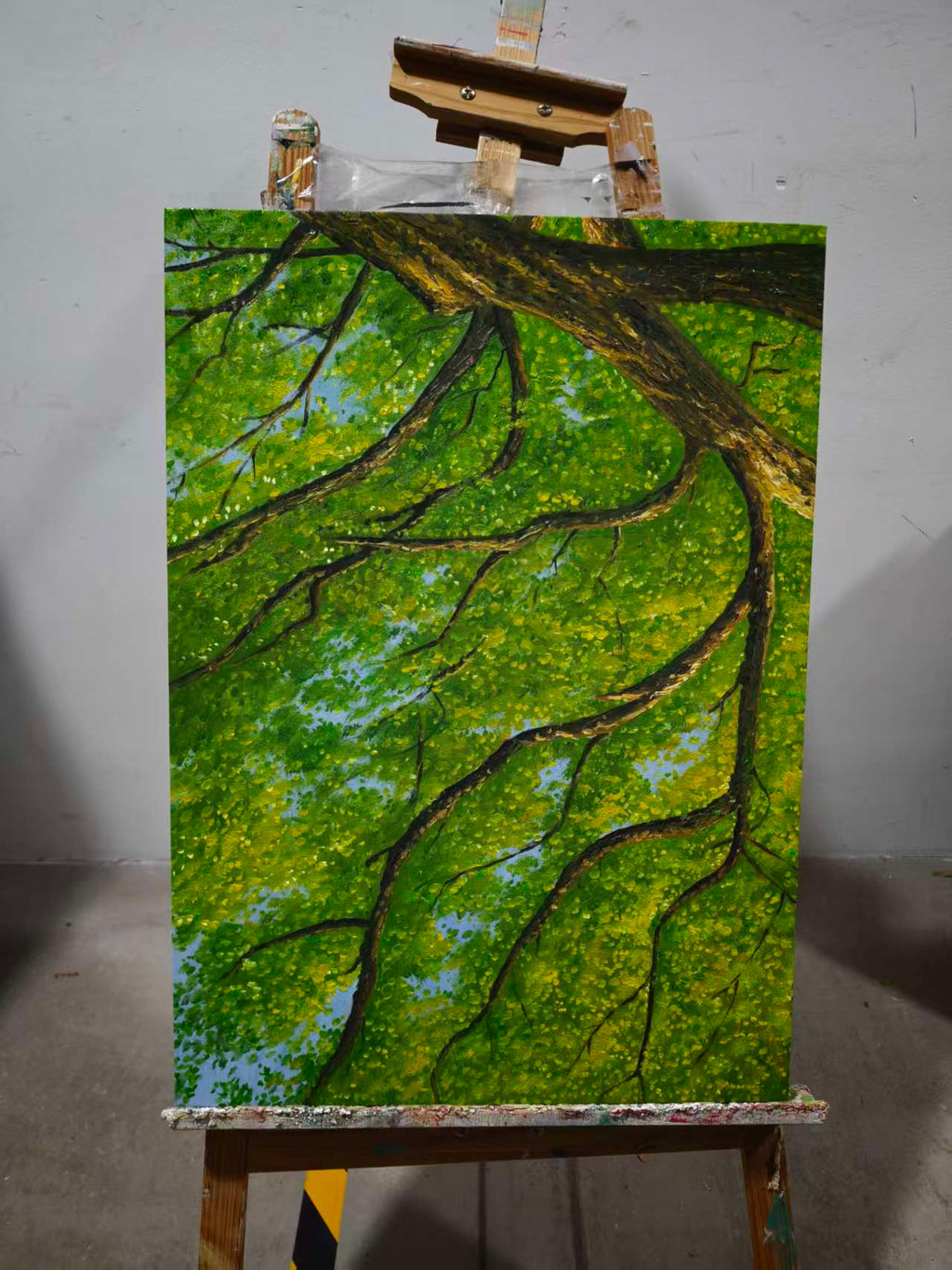 Under the Green Canopy