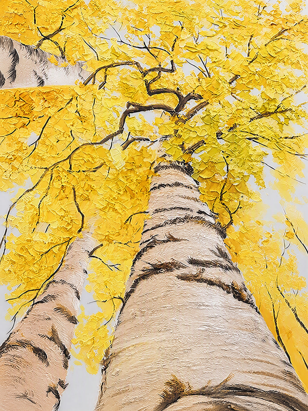 Looking up through white birch trunks into a bright yellow canopy