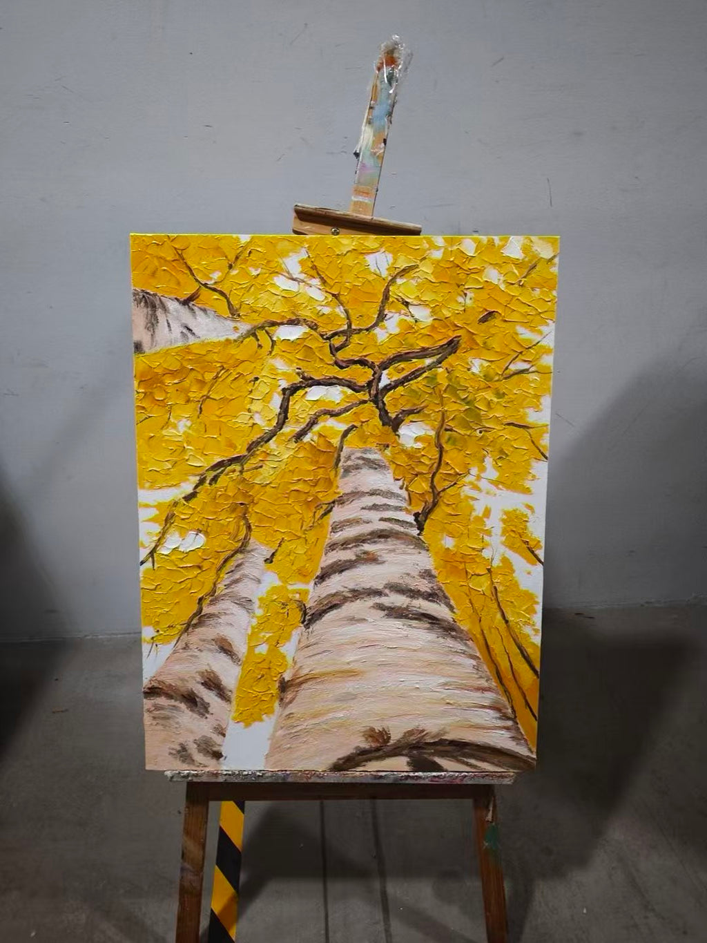 Golden Birches from Below