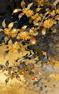 Golden osmanthus leaves over dark water where koi swim