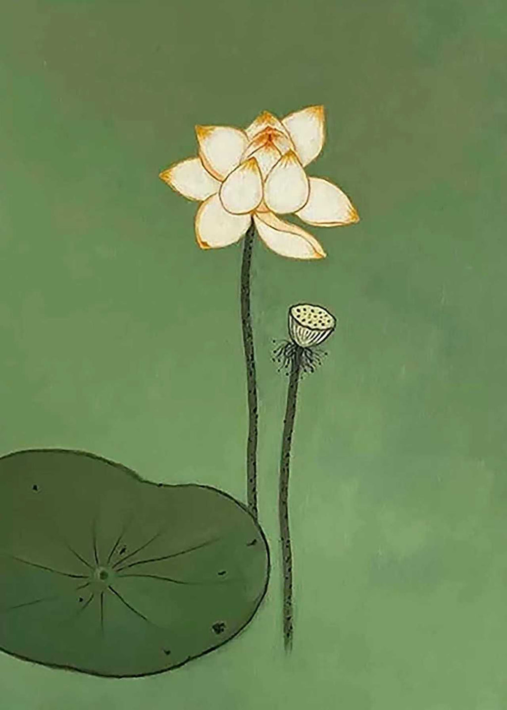 A single cream lotus, a seed pod and a broad leaf on a deep sage ground