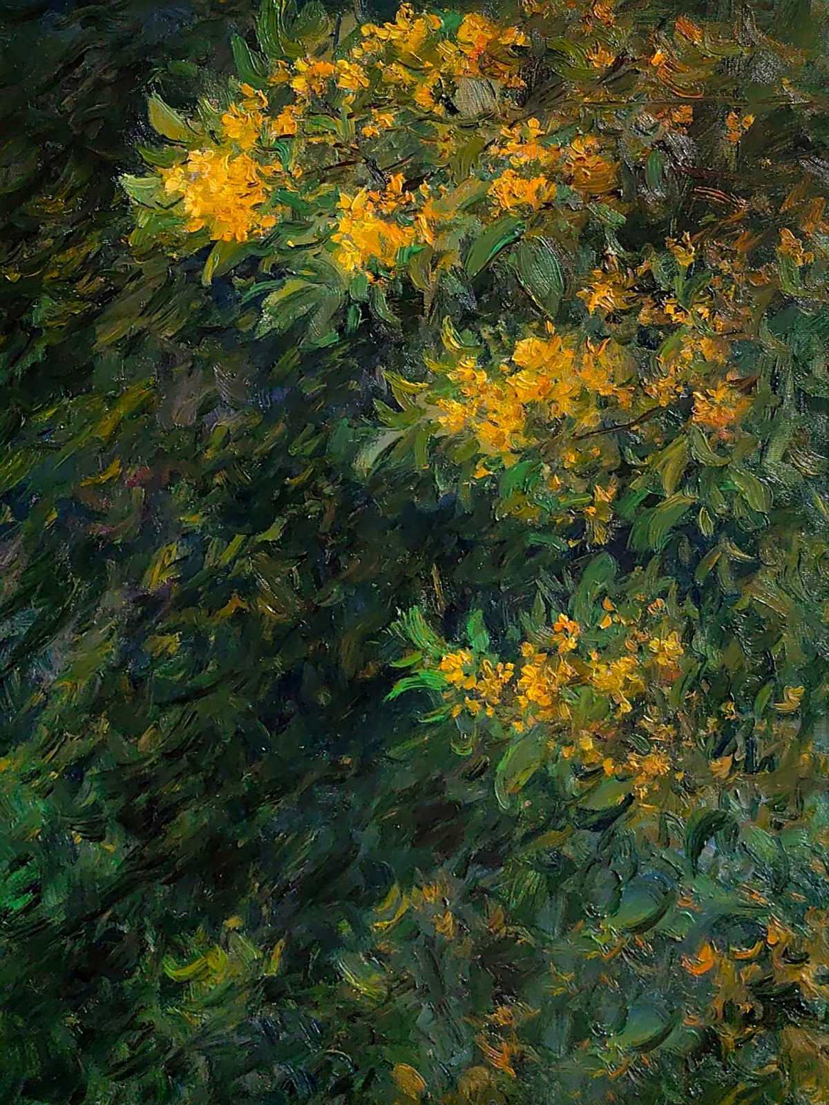 Clusters of golden-orange blossoms glowing among dark green foliage