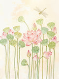 Pink lotus and green seed pods on tall stems, with a hovering dragonfly