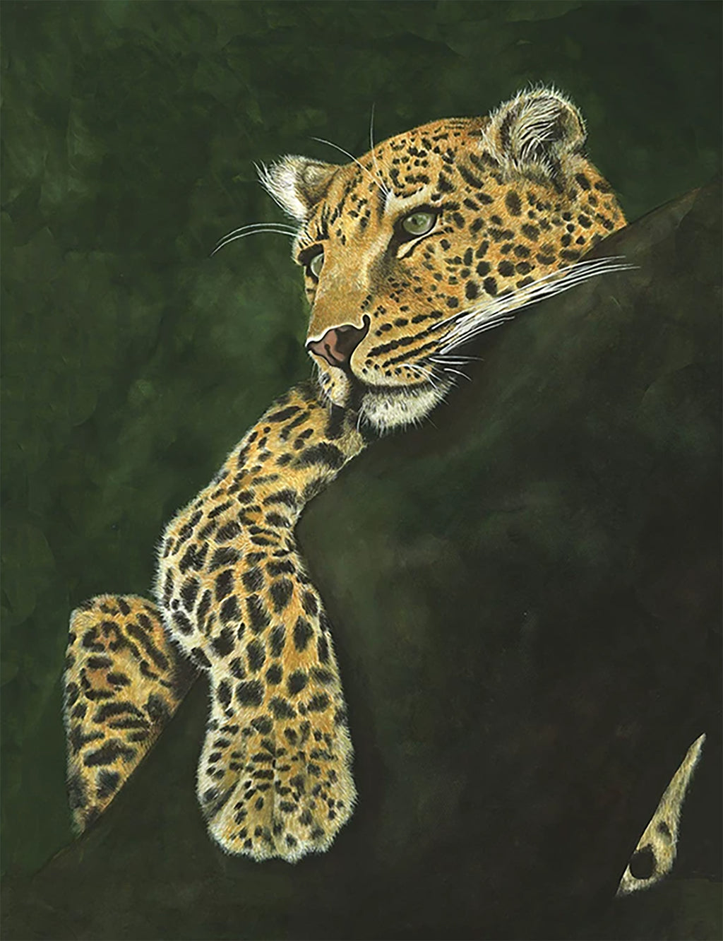A leopard draped over a dark branch, gazing calmly against a deep green ground
