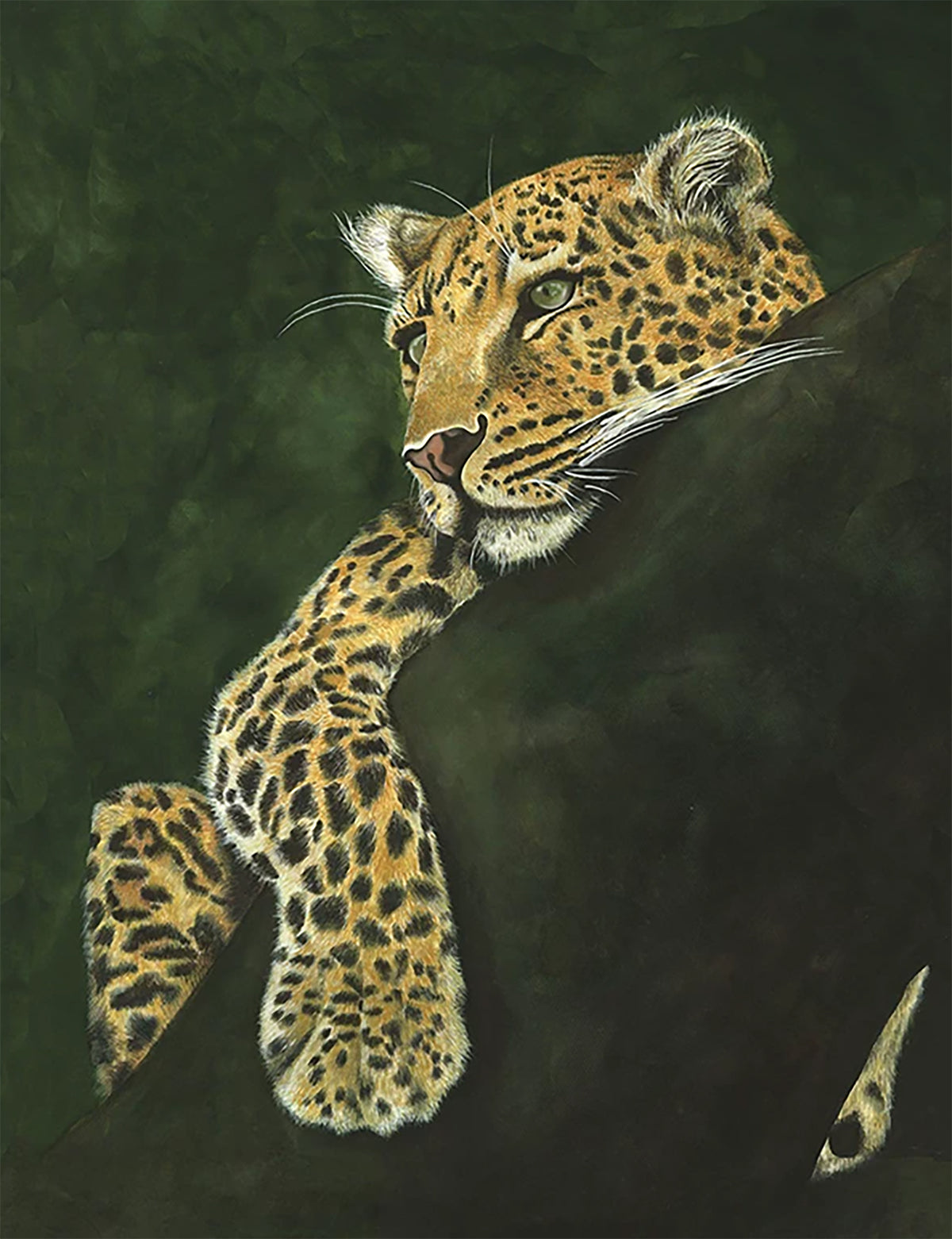 A leopard draped over a dark branch, gazing calmly against a deep green ground