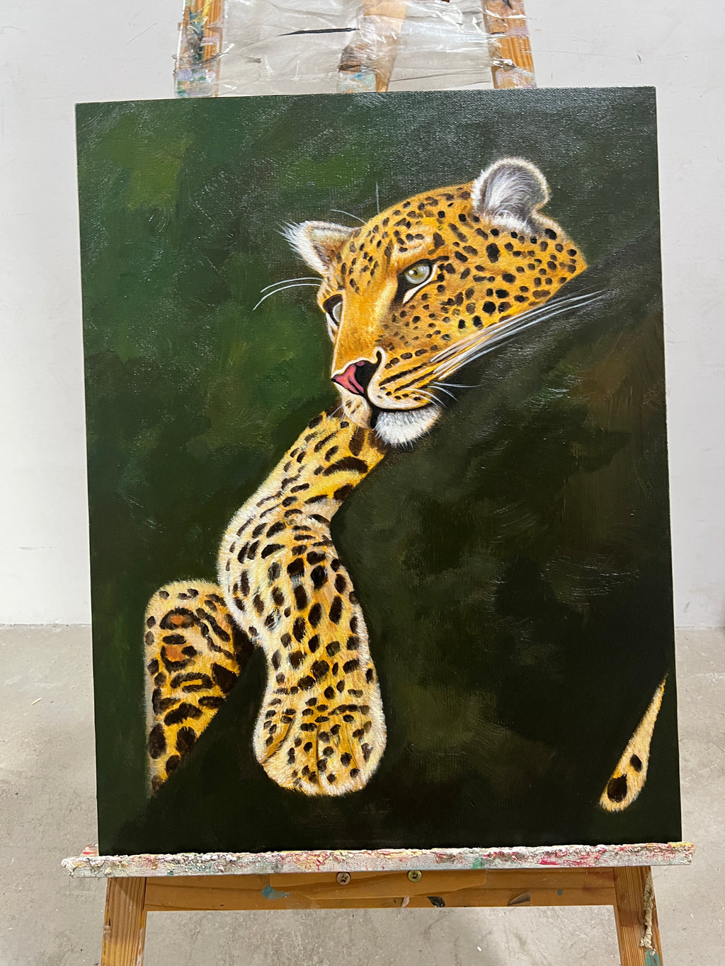 Resting Leopard