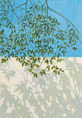 Hanging green leaves against bright blue sky, casting shadows on a pale wall