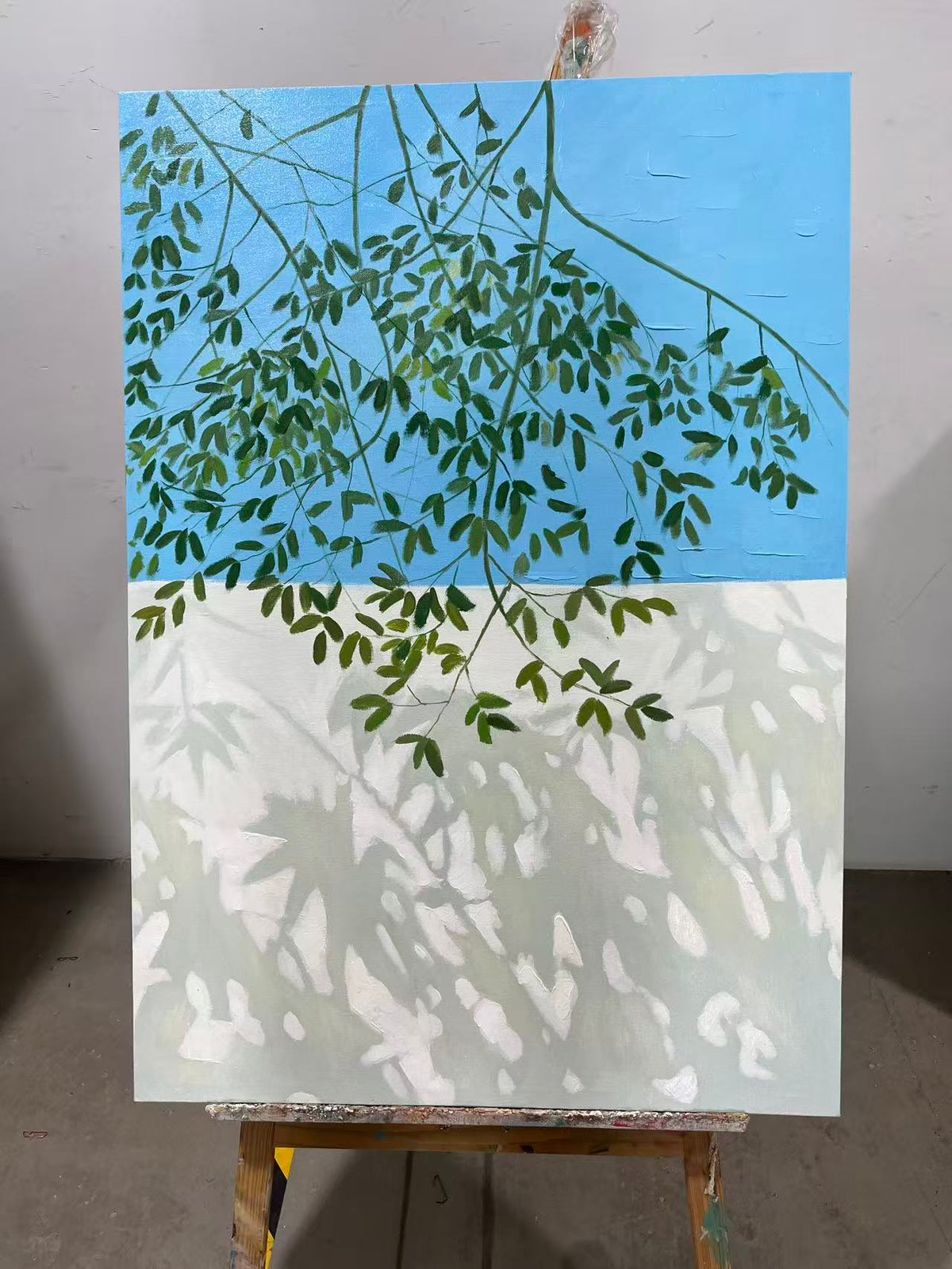 Willow Shadows and Sky