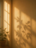 Warm amber light from a window casting a plant's shadow across a glowing wall