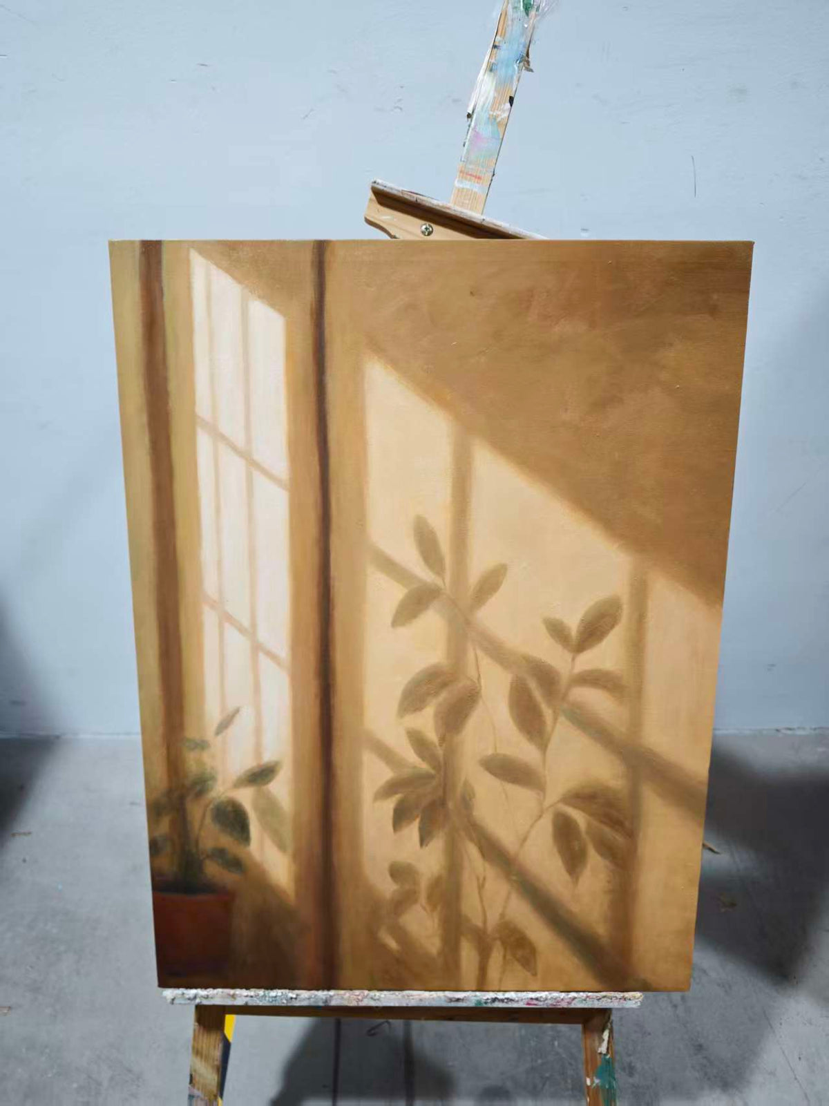 Golden Hour Leaf Shadow
