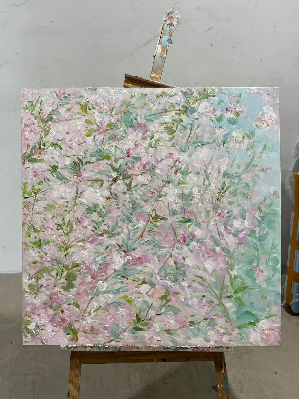 Pink Blossom Haze