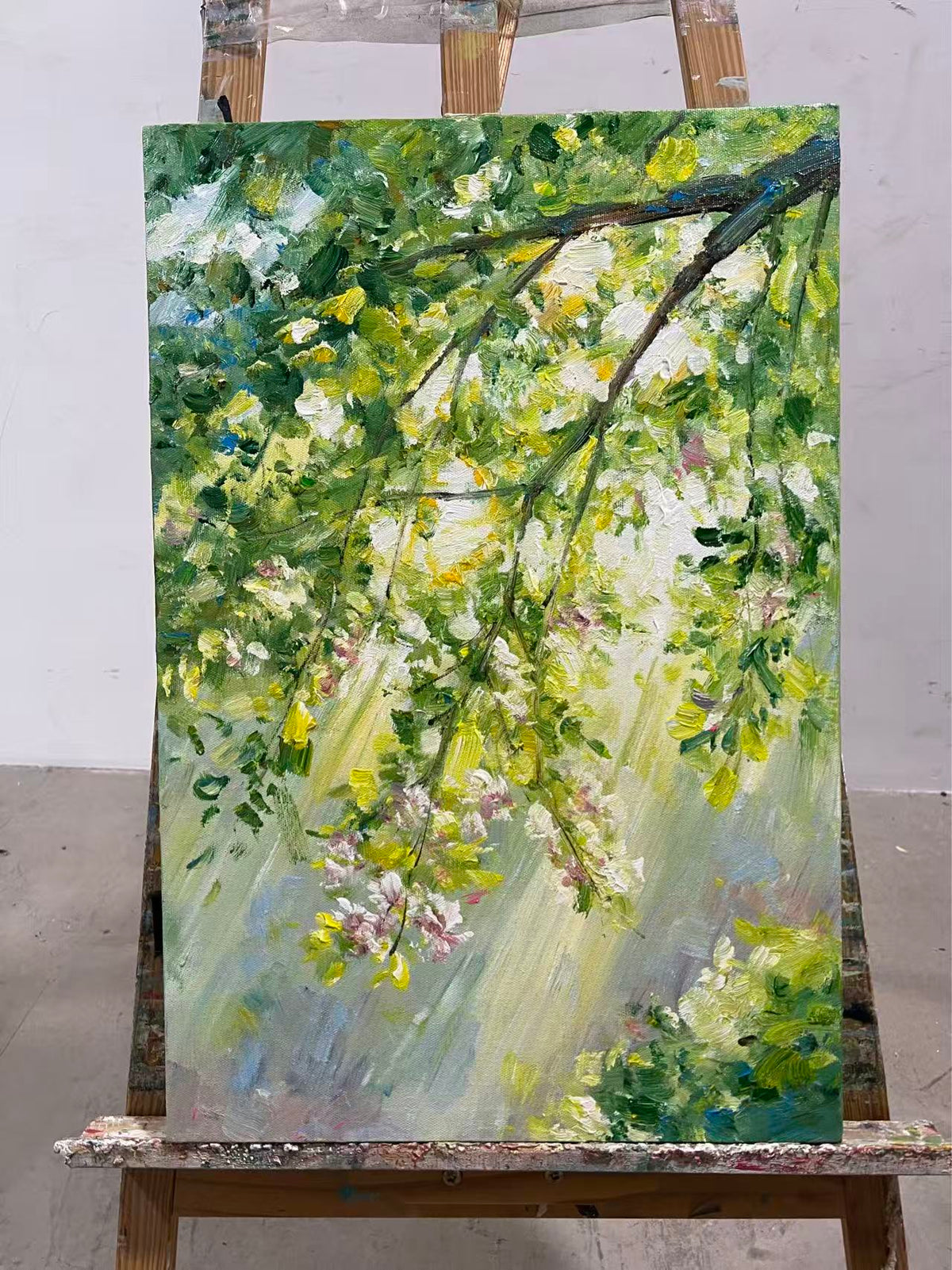 Spring Canopy