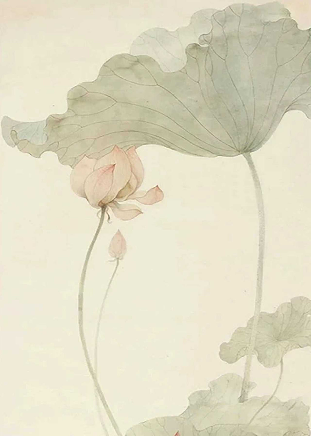 A pink lotus flower and bud beneath broad pale-green leaves, in delicate gongbi brushwork