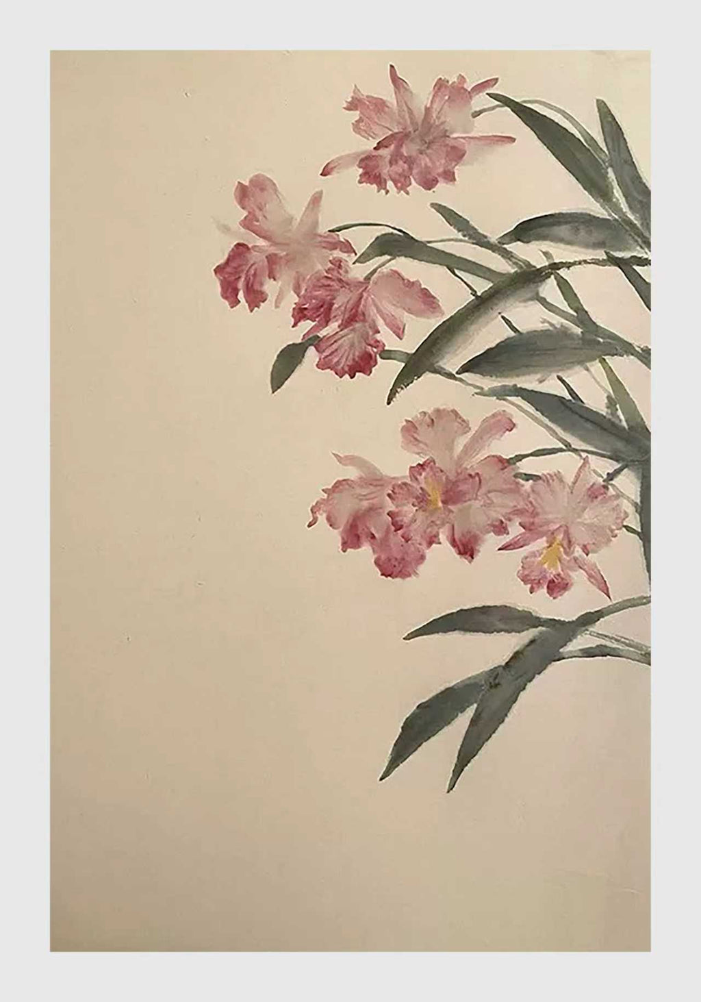Pink cattleya orchids and long leaves arching in from the side on a pale cream ground