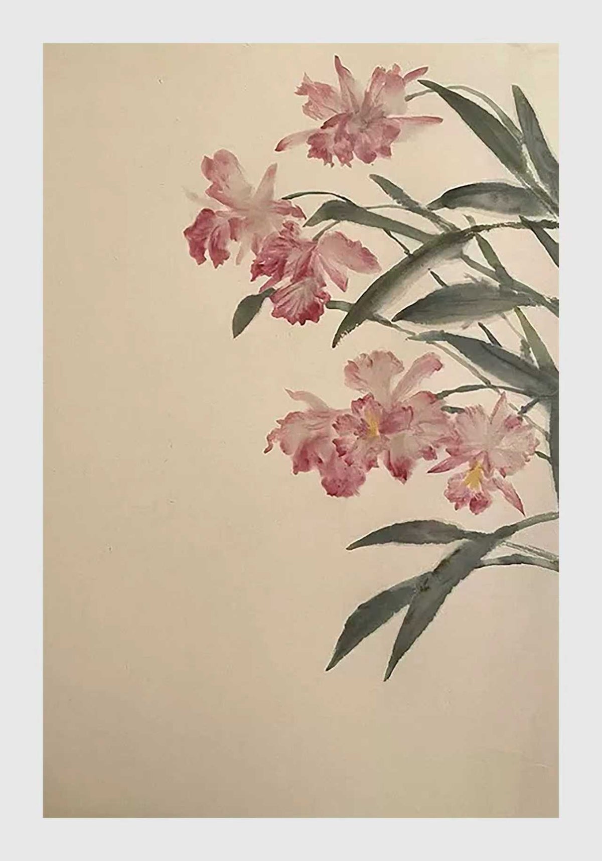 Pink cattleya orchids and long leaves arching in from the side on a pale cream ground