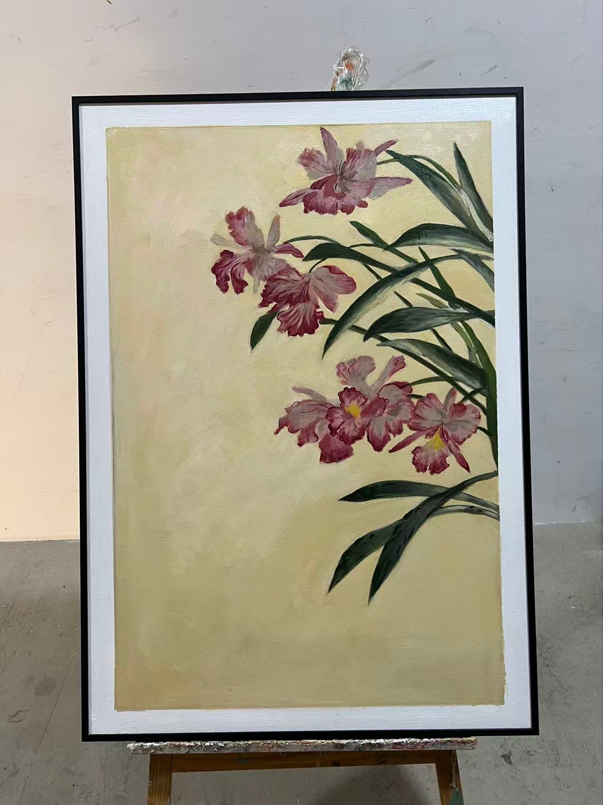 Pink Cattleya Orchids