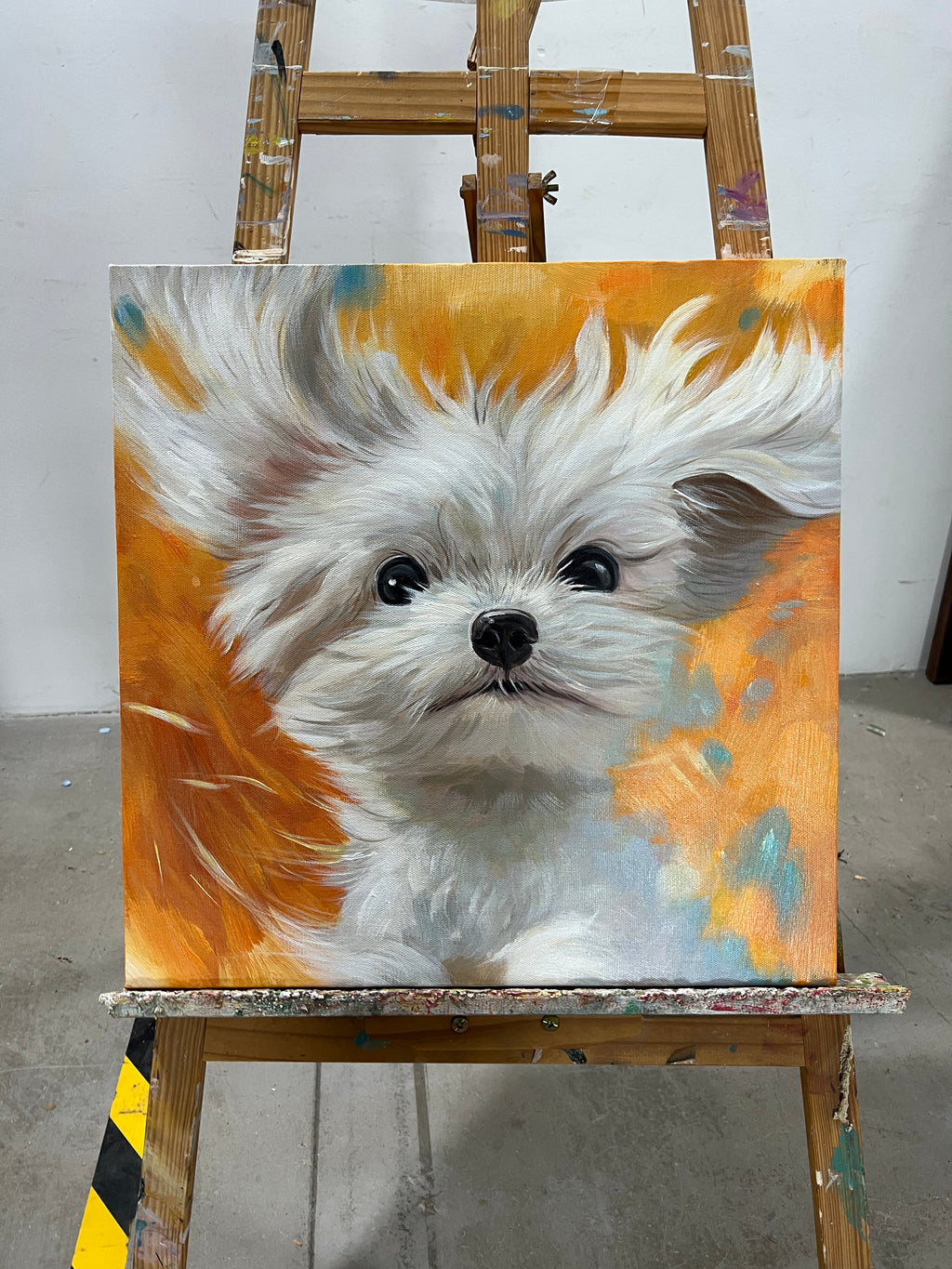 Windswept Maltese