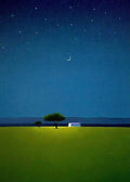 A lone acacia tree and a small white house under a crescent moon and starry deep-blue sky