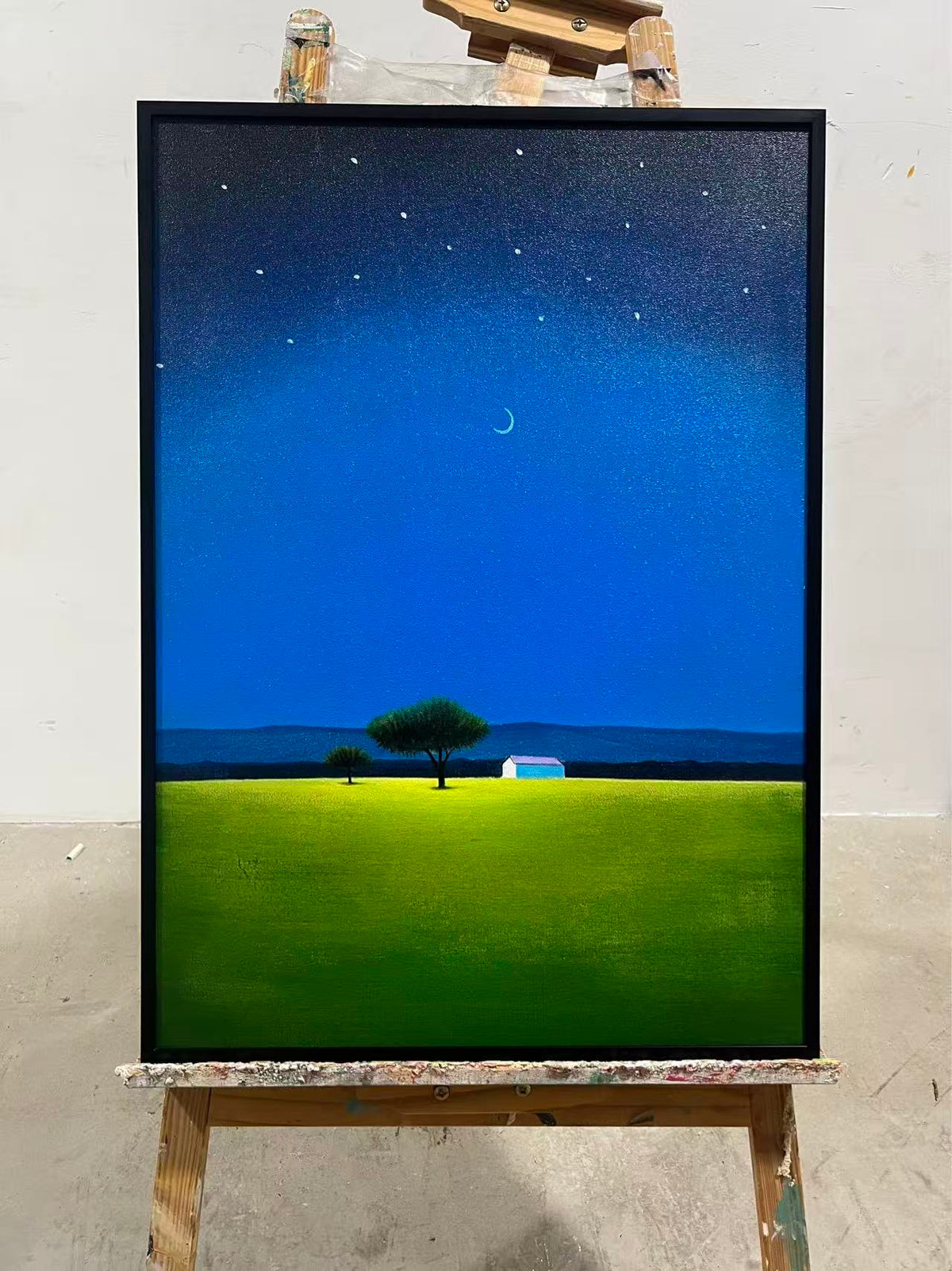 Starry Night on the Savanna