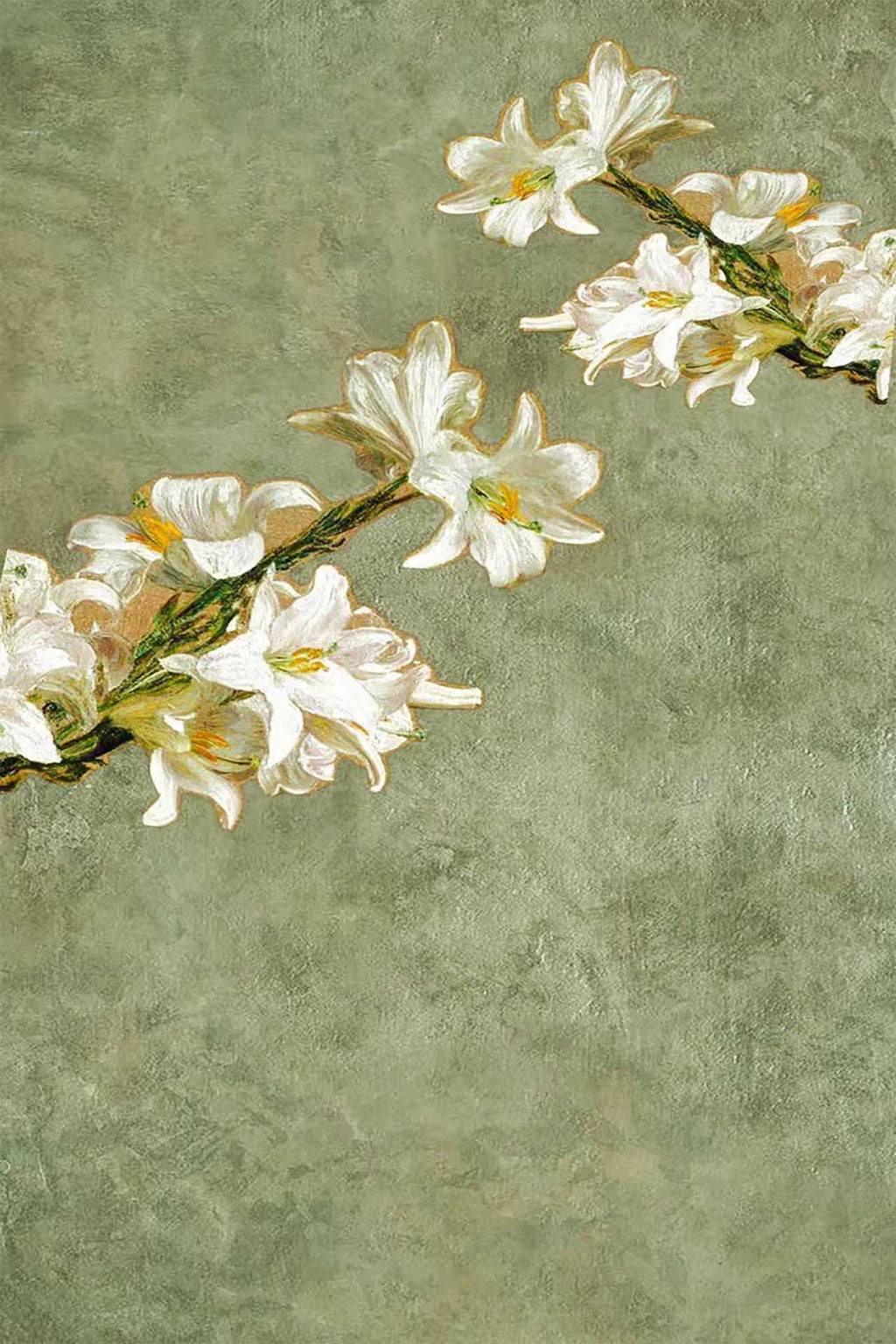 A spray of white Easter lilies reaching across a textured sage-green ground