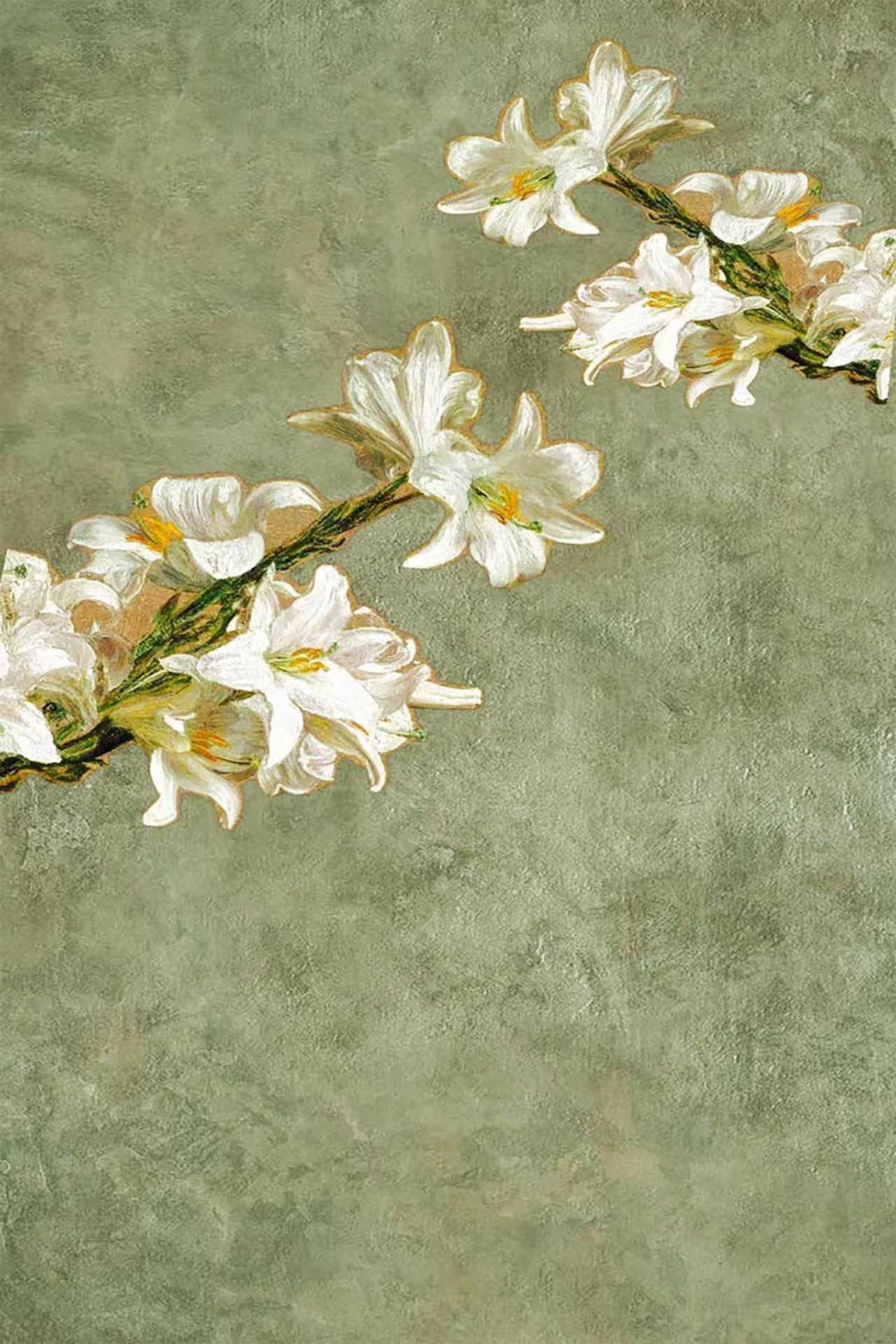 A spray of white Easter lilies reaching across a textured sage-green ground