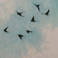 Dark swallows wheeling across a soft, cloudy aqua sky