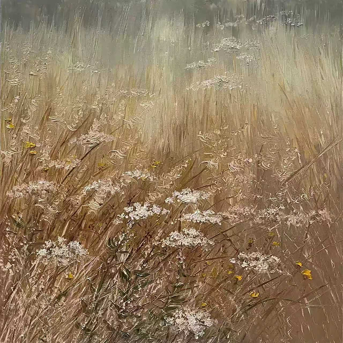 Dry golden grasses and white Queen Anne's lace in a soft, rain-misted meadow