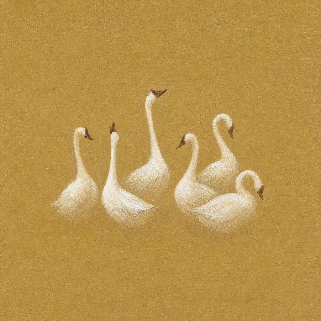 A small flock of white swans gathered together on a warm mustard ground