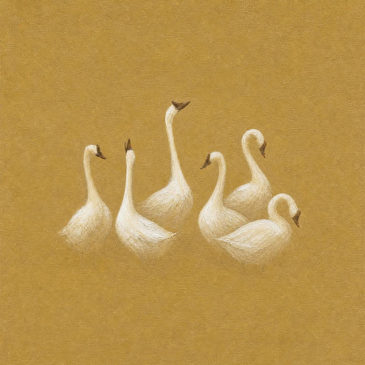 A small flock of white swans gathered together on a warm mustard ground