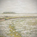 A meadow of tiny white wildflowers stretching to the sea and a low distant island