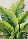 Broad glossy banana leaves in fresh greens on a pale textured ground