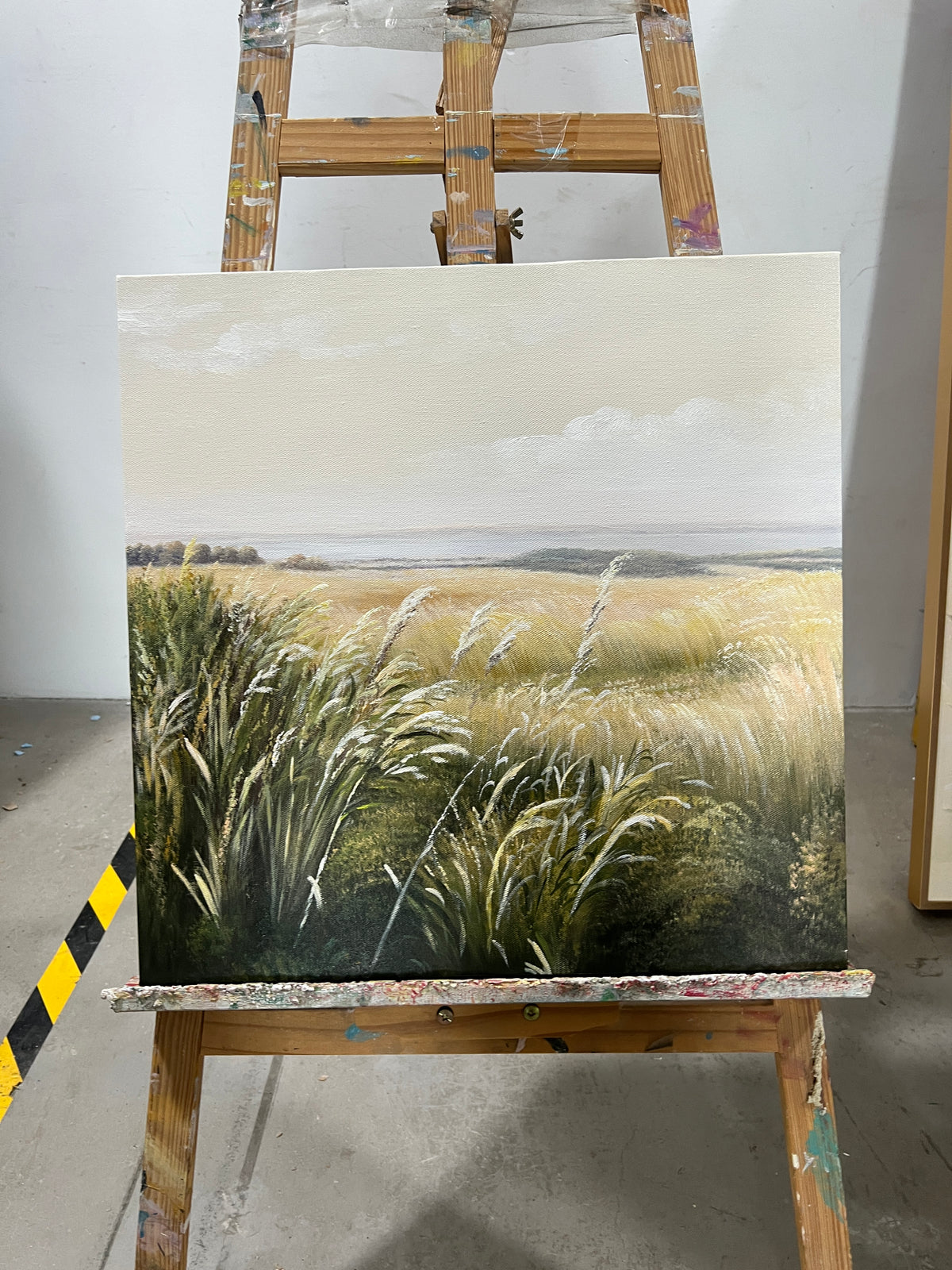 Coastal Grasses
