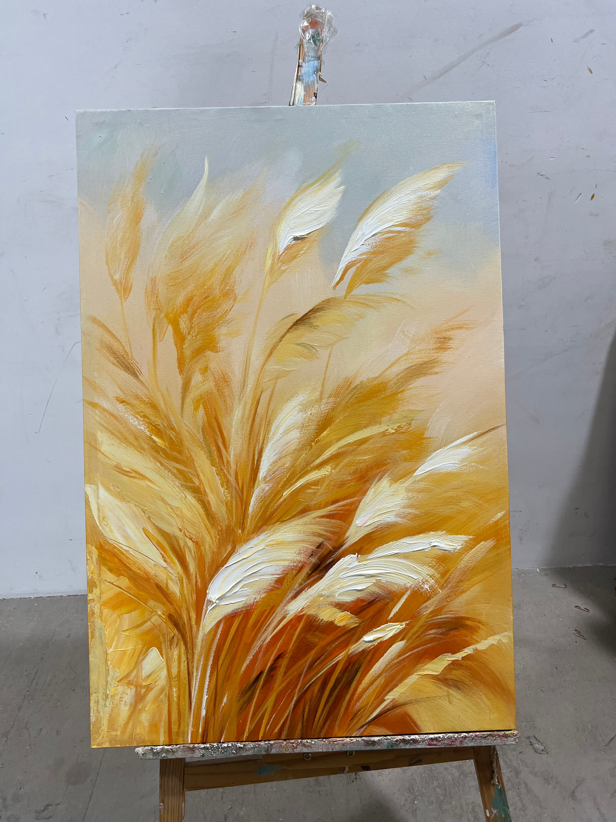 Pampas in the Wind