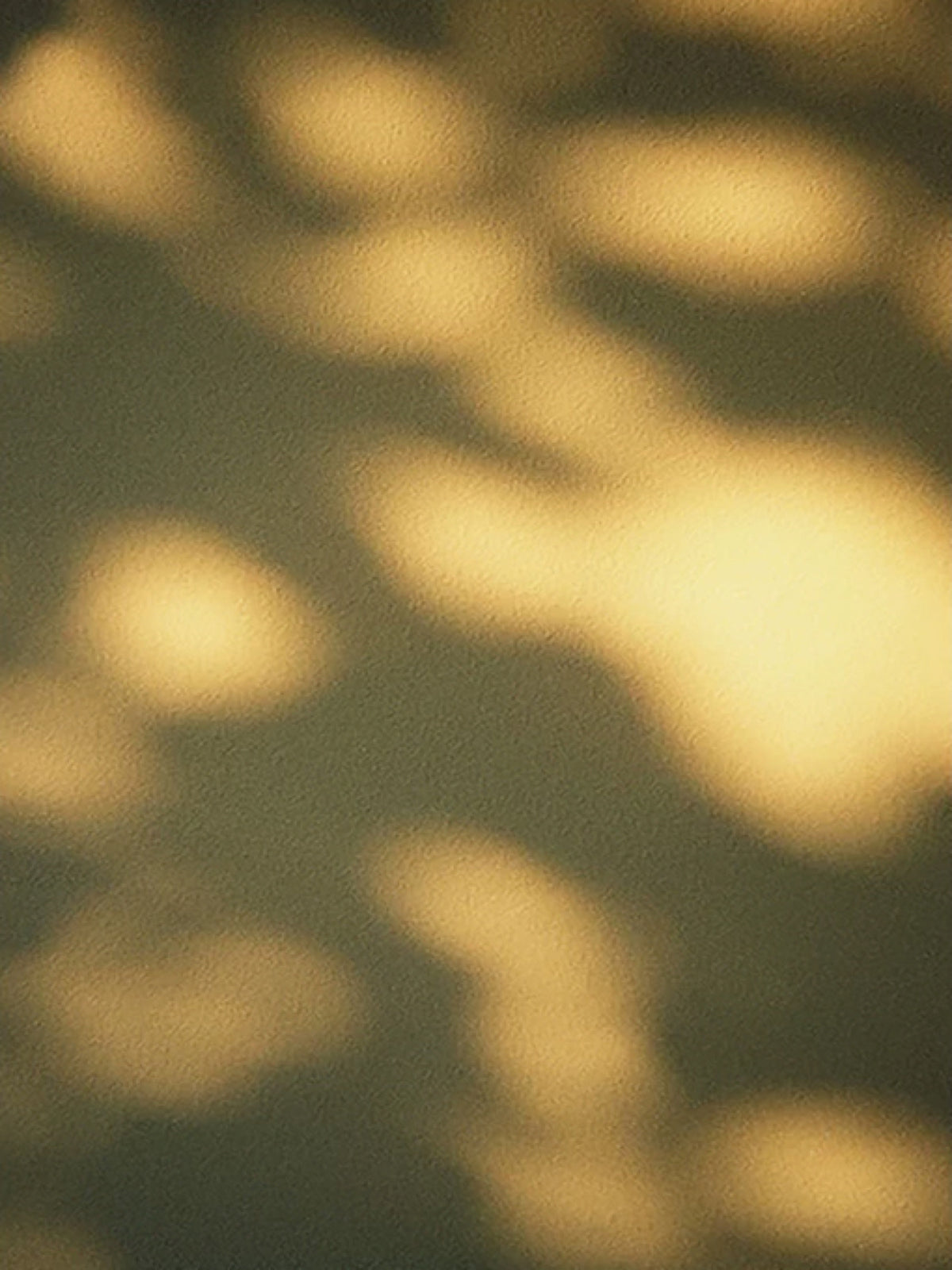Blurred patches of golden light dancing on a deep olive wall