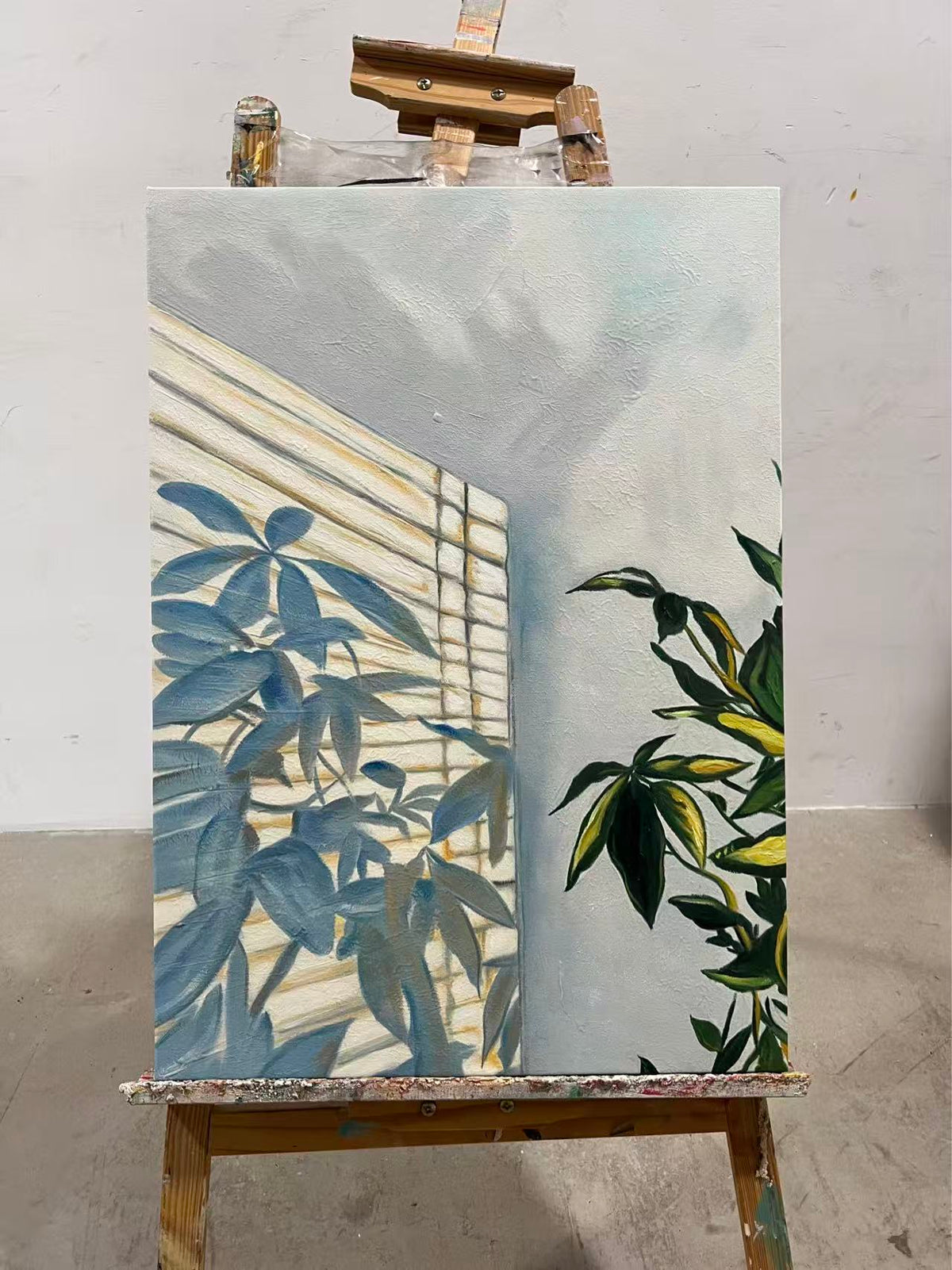 Blinds and Leaf Shadows