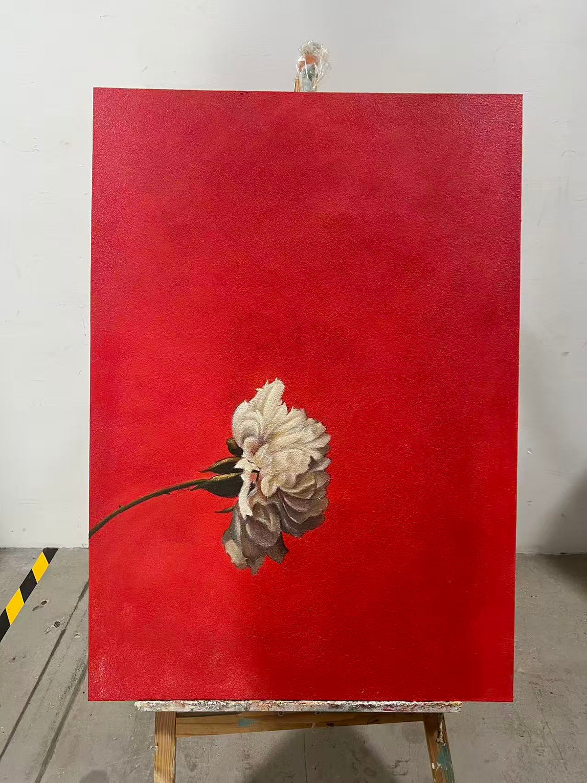 White Carnation on Red