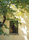 A dark-framed window in a sunlit yellow wall, shaded by a leafy tree