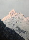 A snowy mountain summit catching pink dawn light above a dark pine slope