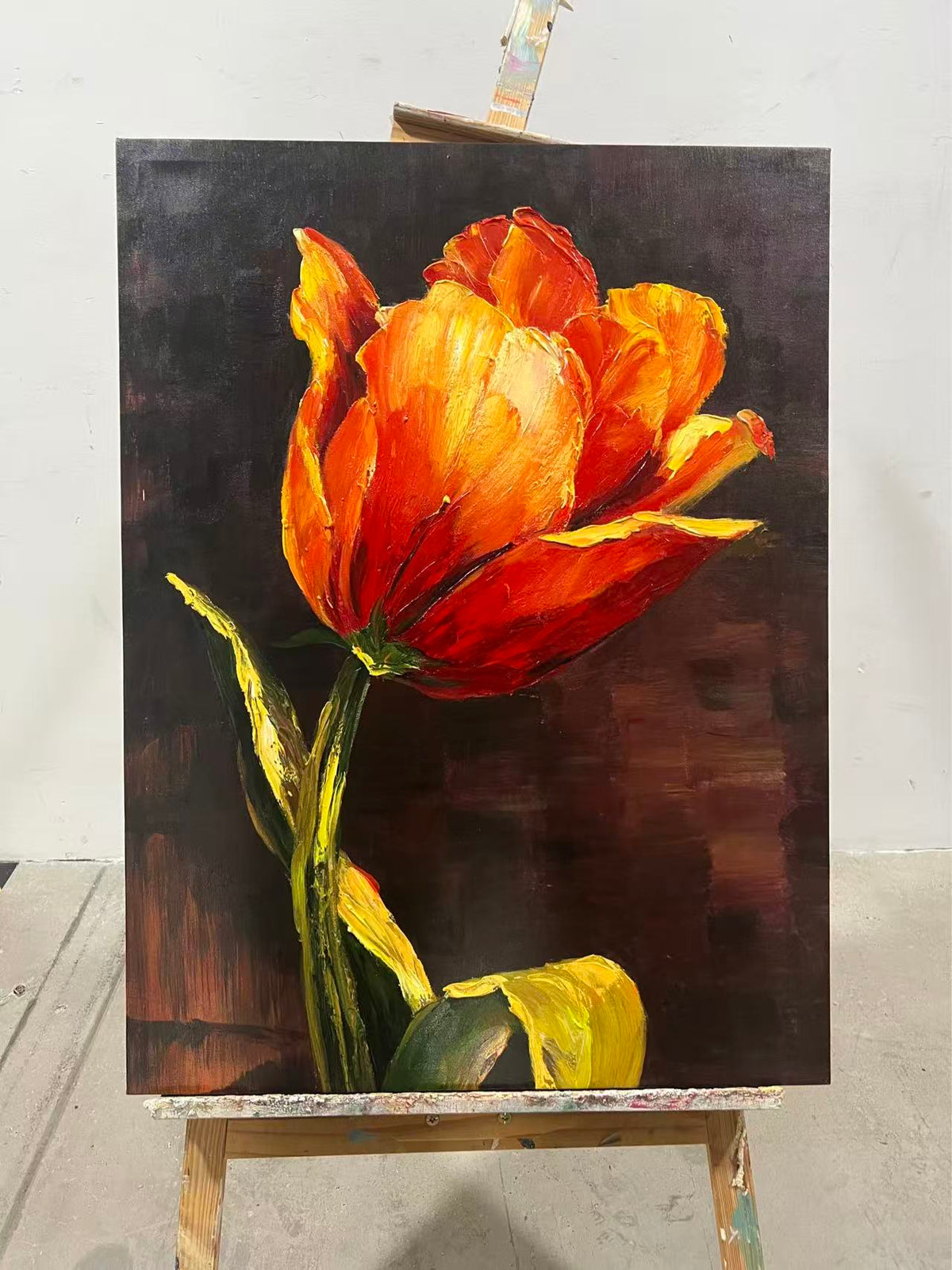 Flame Tulip