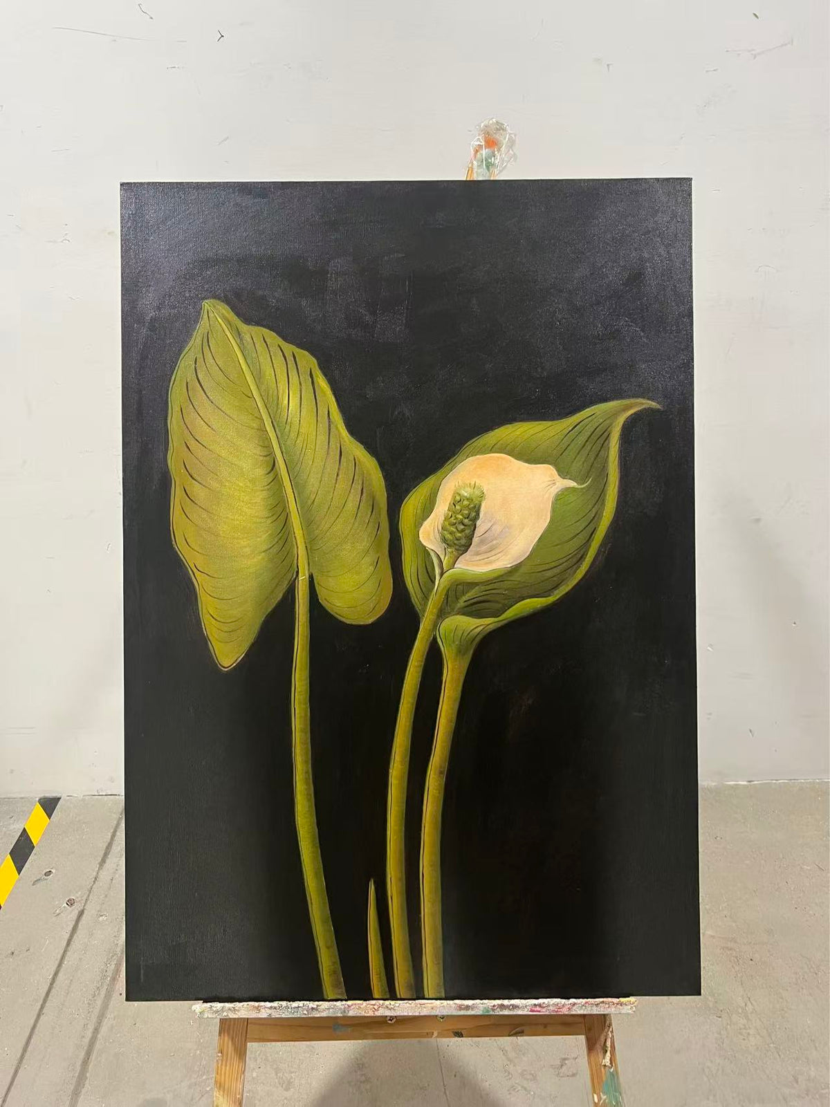 Peace Lily at Night