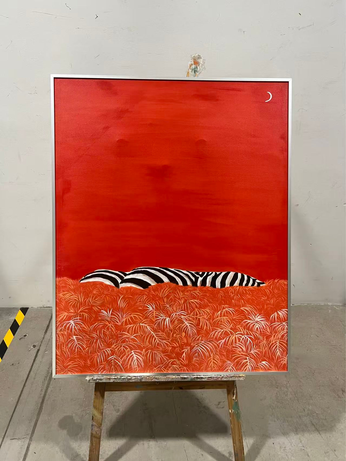 Zebra in the Red Grass