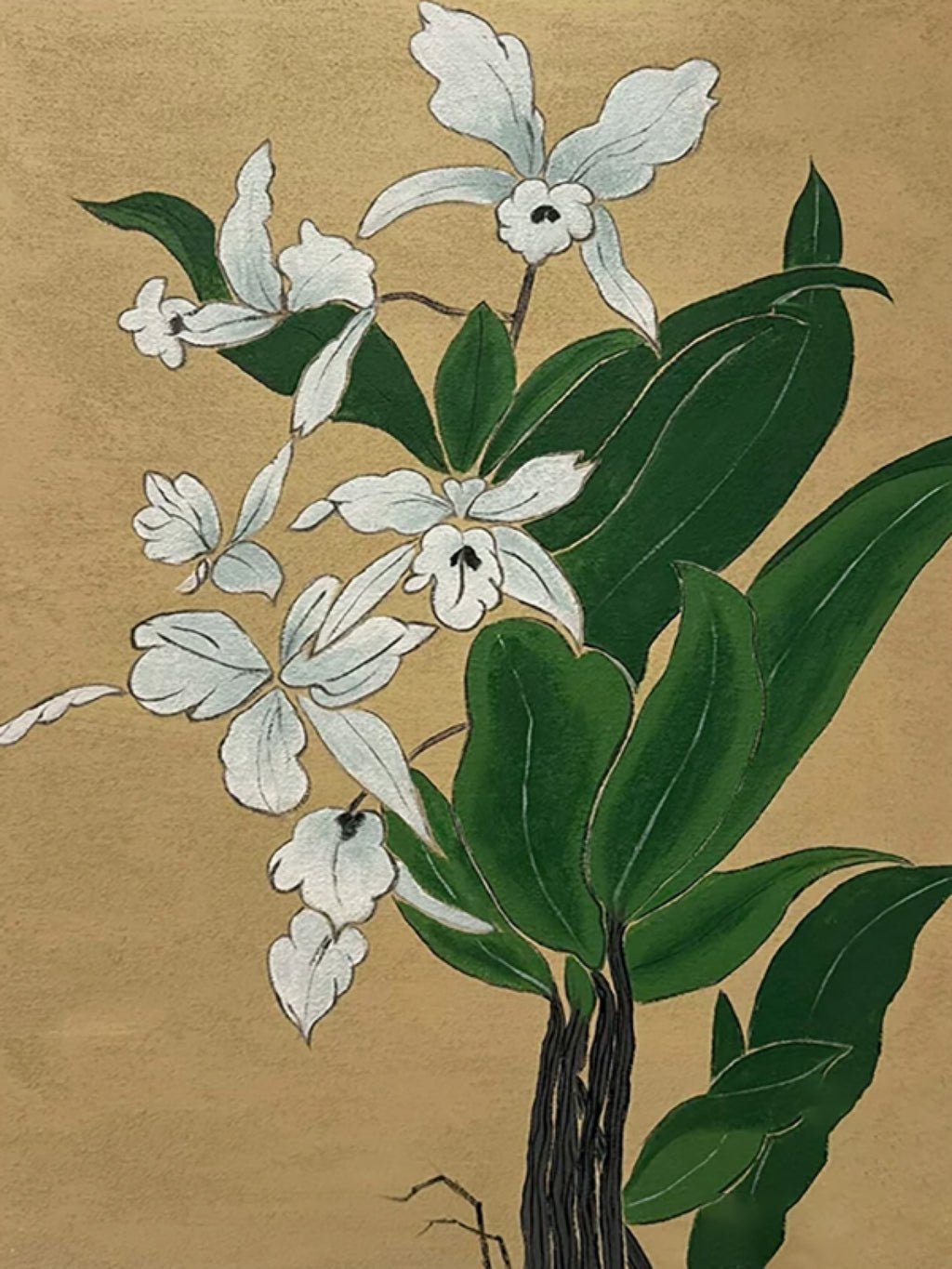 White orchid sprays and broad green leaves on a soft gold ground