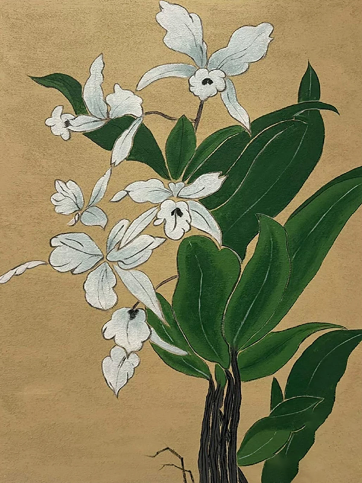 White orchid sprays and broad green leaves on a soft gold ground
