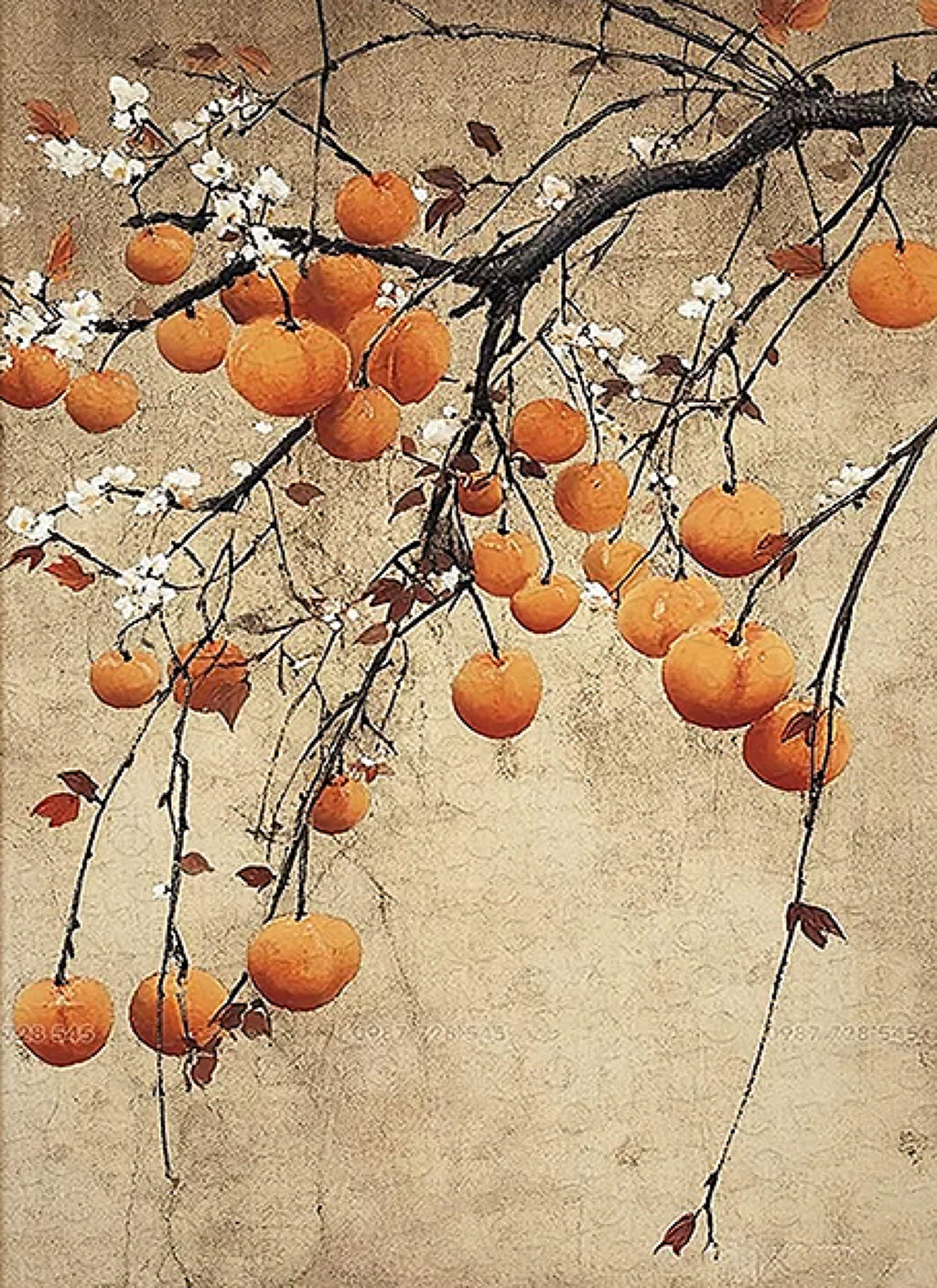 Ripe orange persimmons and white blossoms hanging from a dark winding branch on a parchment ground